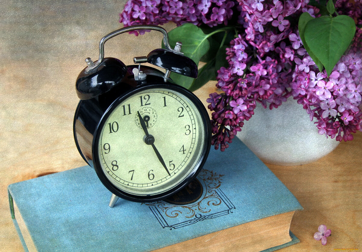 Фотография взята из открытых источников