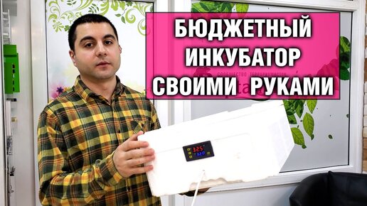 Как сделать простой инкубатор из пенопласта своими руками