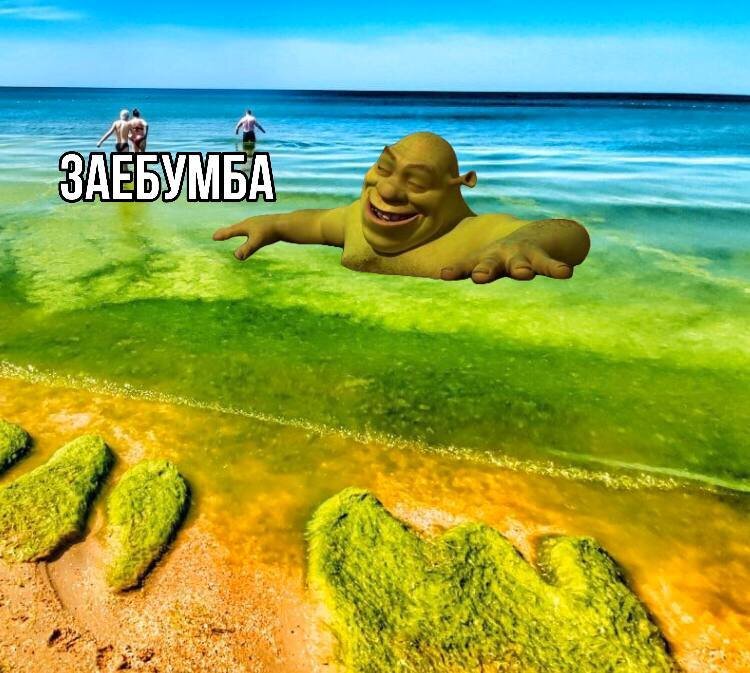 Анапа пляж дзен