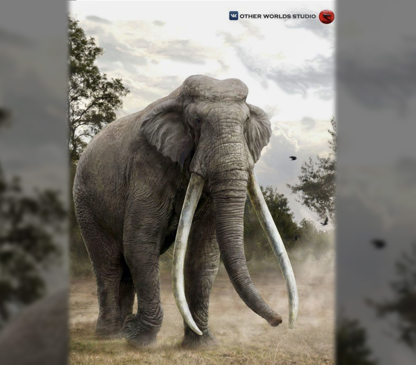 Азиатский прямобивневый слон: Титан, претендующий на звание крупнейшего наземного млекопитающего! Был в 2 раза больше современных слонов2
