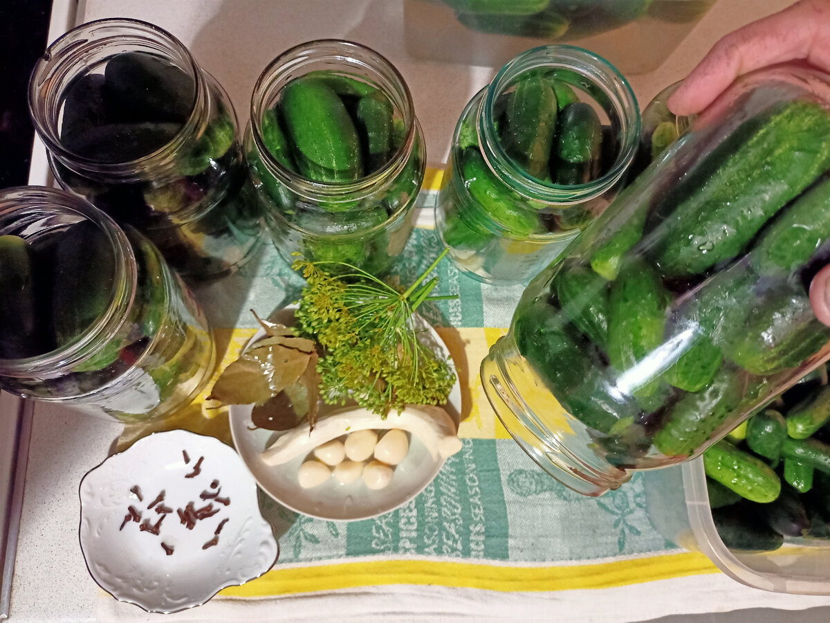 Огурцы для засолки плотно укладываем в банки