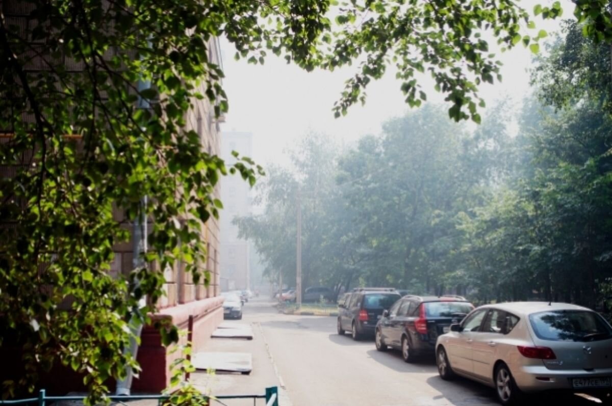    В Москву после вчерашней передышки вернулся запах гари