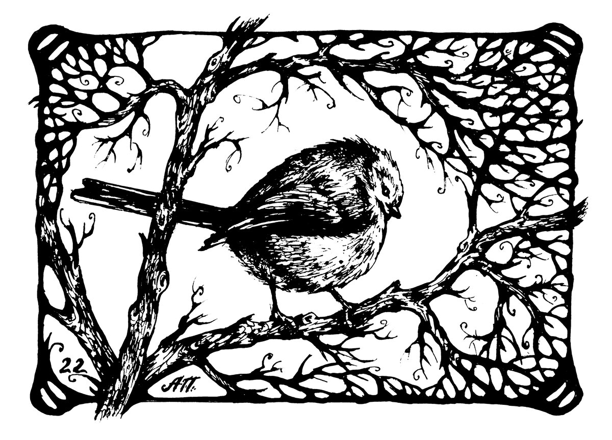 Длиннохвостая синичка Ополовник, она же Слепух, Фазанчик и Павлинчик. Рисунок (с) Алены Подобед, бумага А5, тушь, 2022