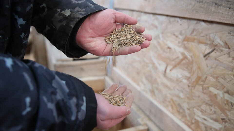 Фото: © Известия/Александр Казаков