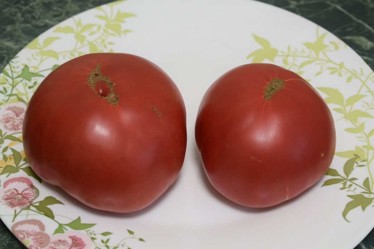 спелые томаты(фото автора)