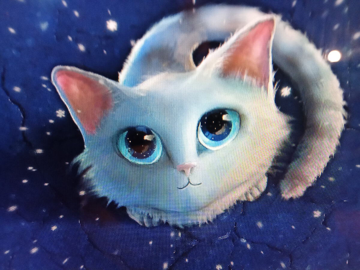 Милые мультяшные котики
