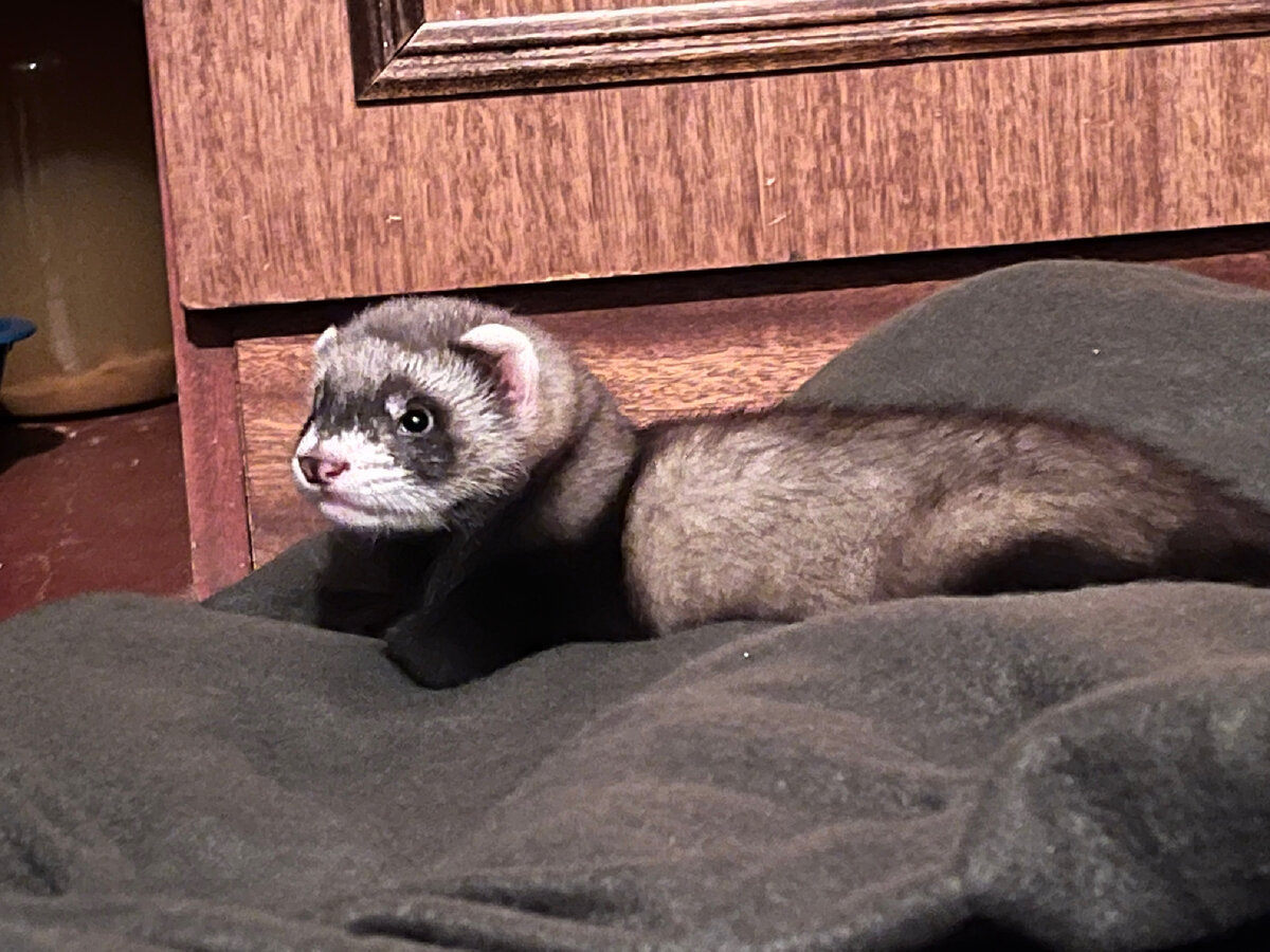 Видео моей ночи добавлено!