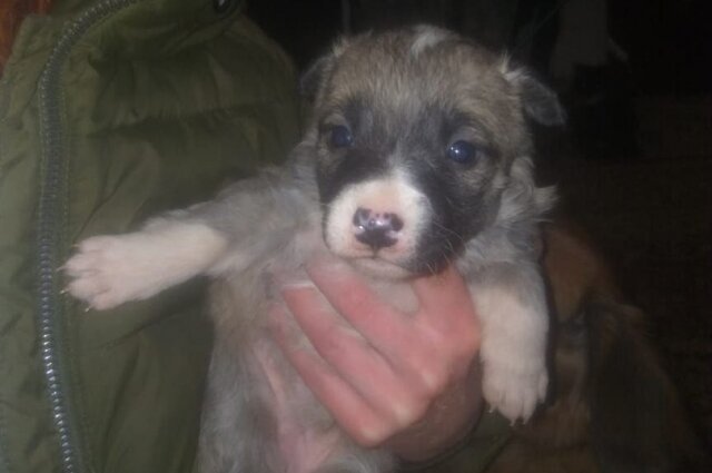    Фото: Из архива/ Кристина Изотова