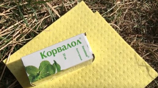 Словил крупного карася на Корвалол и кухонную тряпочку