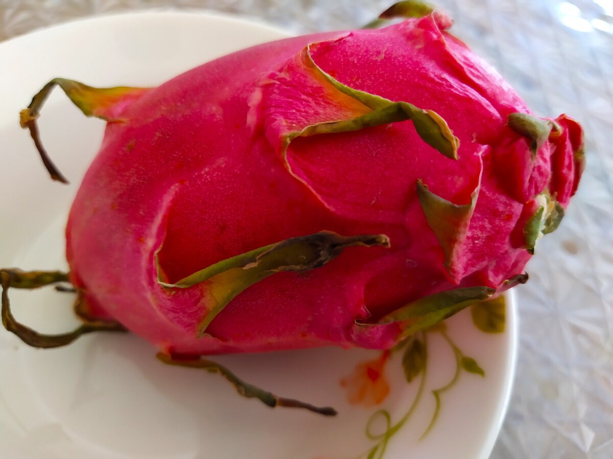 Питахайя, небольшого размера, спелая. Пролежала в холодильнике до вечера, поэтому зелёные листочки немного повяли.