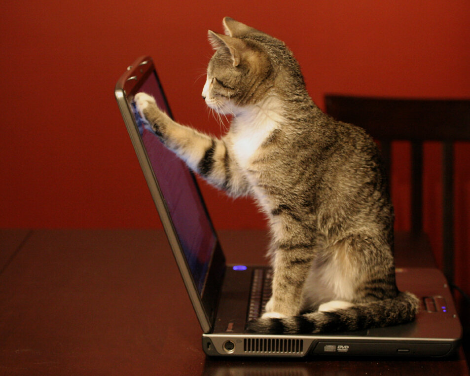 Регистрируйтесь безотлагательно :)