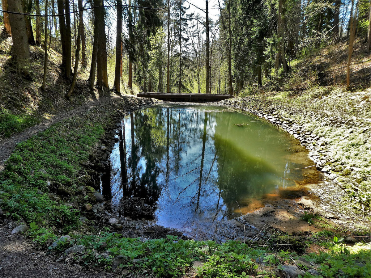 комаровский берег экологическая тропа