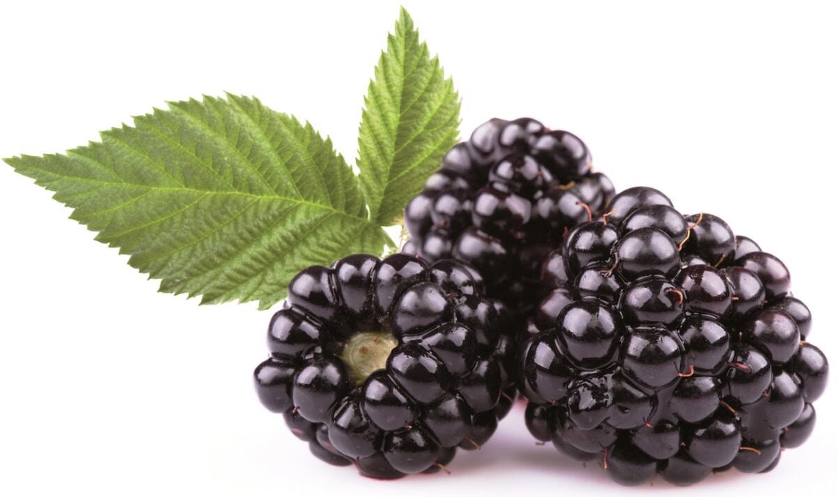 Не такая ароматная, сколько вкусная!