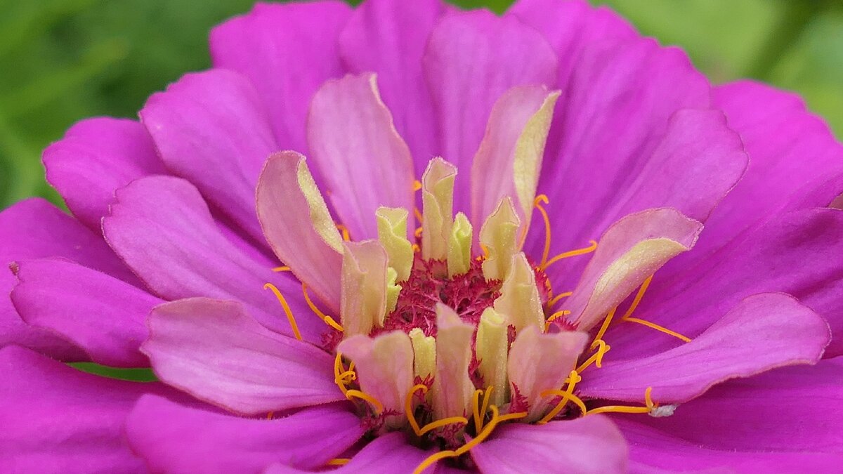 f 2.8  iso-200  1\320с  26мм. 