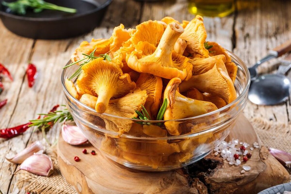 Что можно вкусно приготовить из лисичек