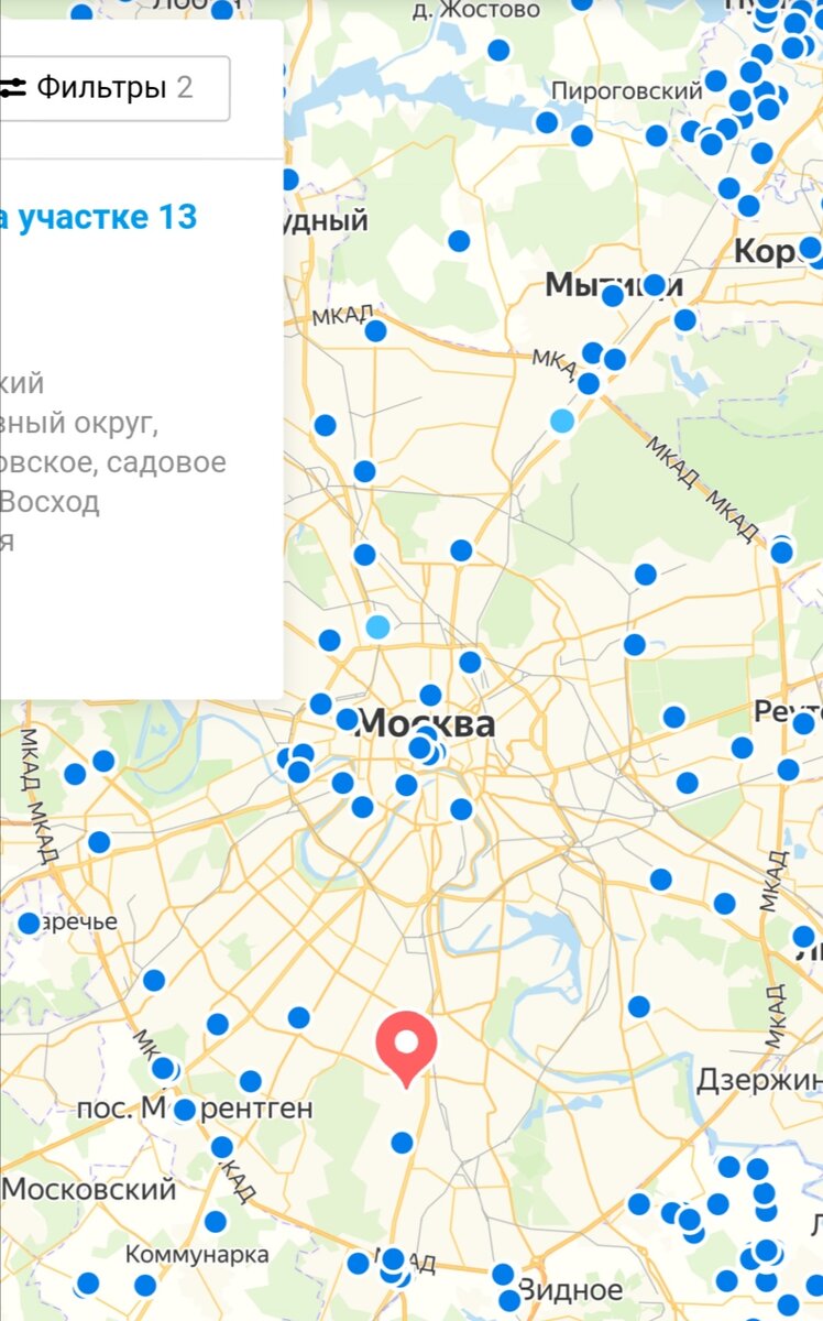 Синие точки - дома на продажу. Но ни одного из них в реальности не существует. Скрин с Авито. 