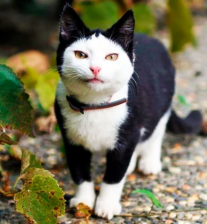 Фото из pinterest.ru