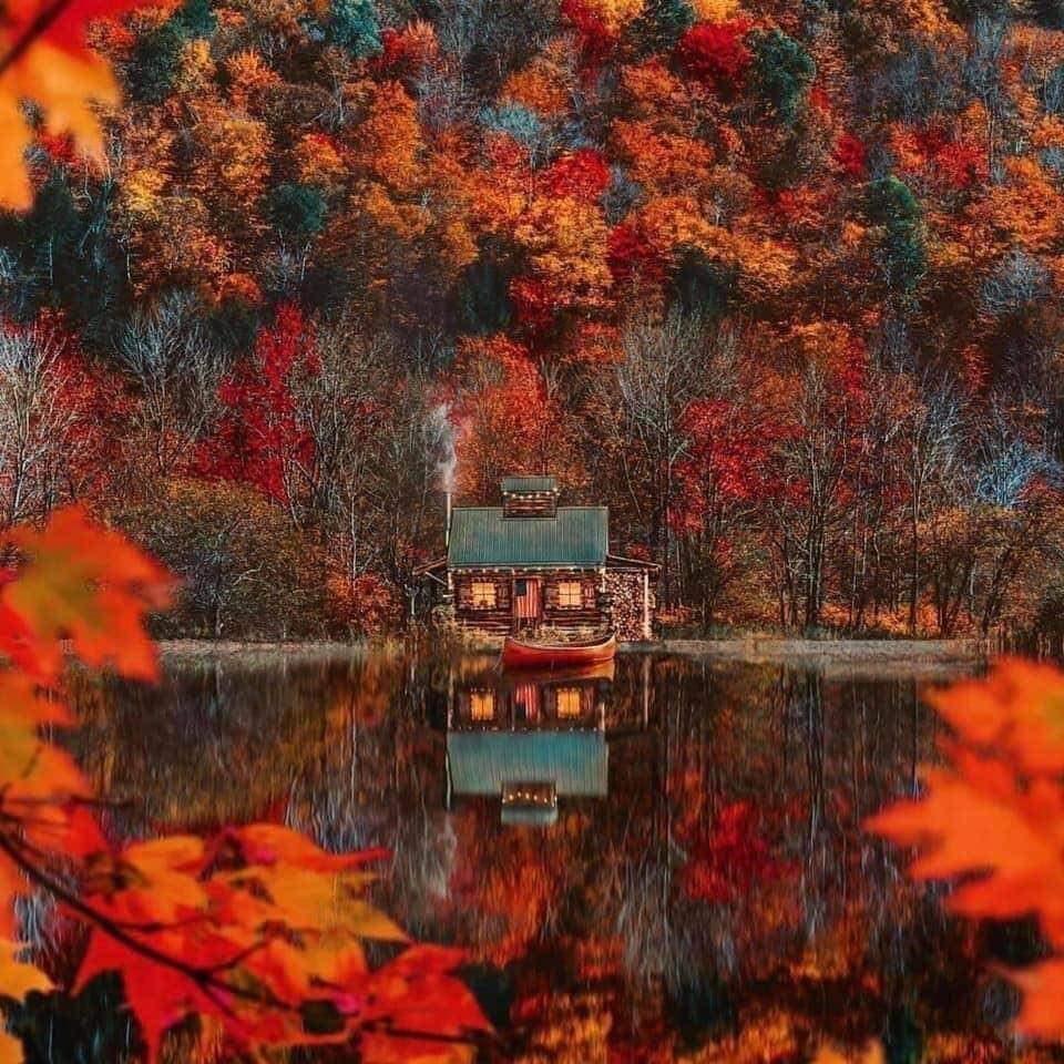 Художник Виктор Цыганов "Осенняя сказка" Scenery, Painting, Nature desktop