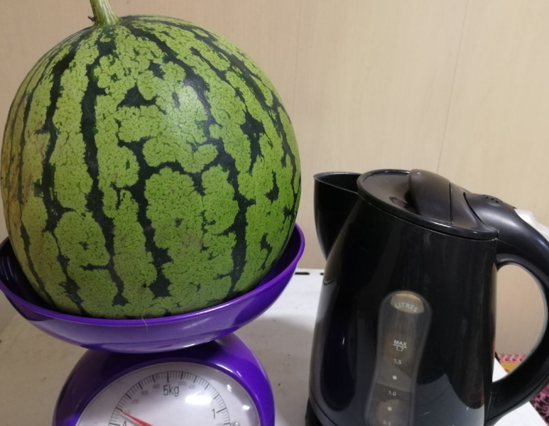 СРД-2 на весах - 4.200 кг