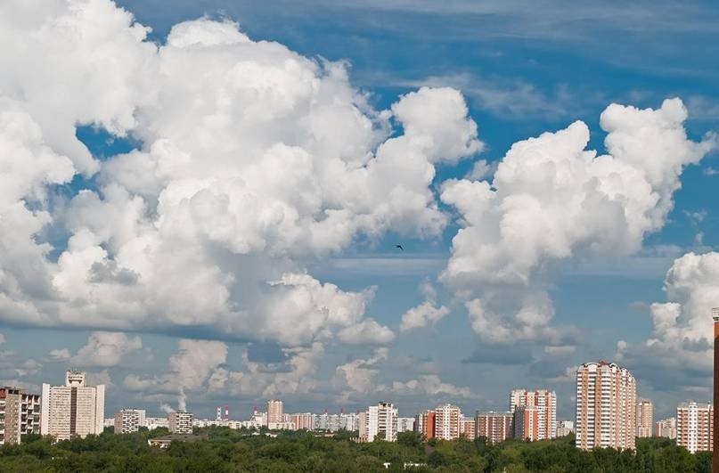 Москва. Фото: Мосэкомониторинг