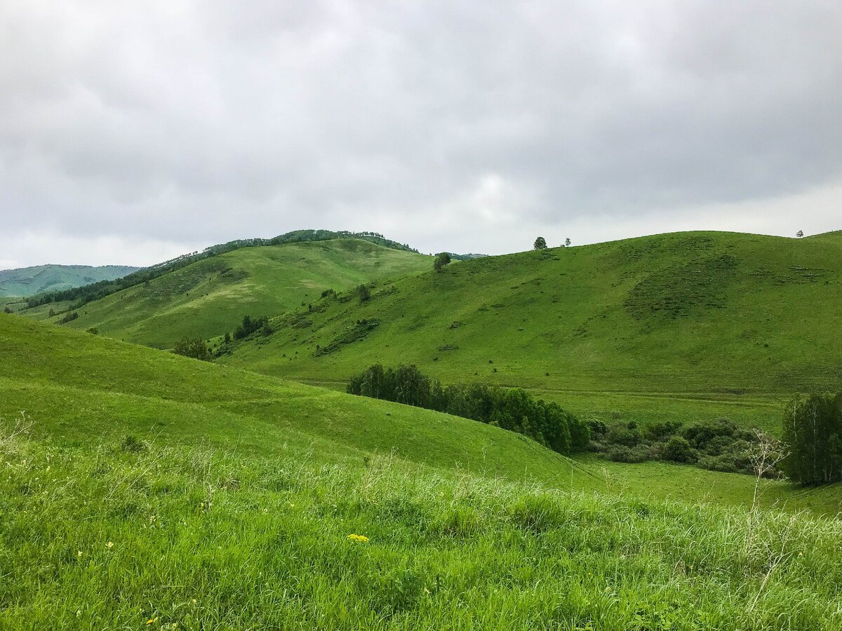 Погода в аи алтайского края. Дорога с Алтайский до черги.