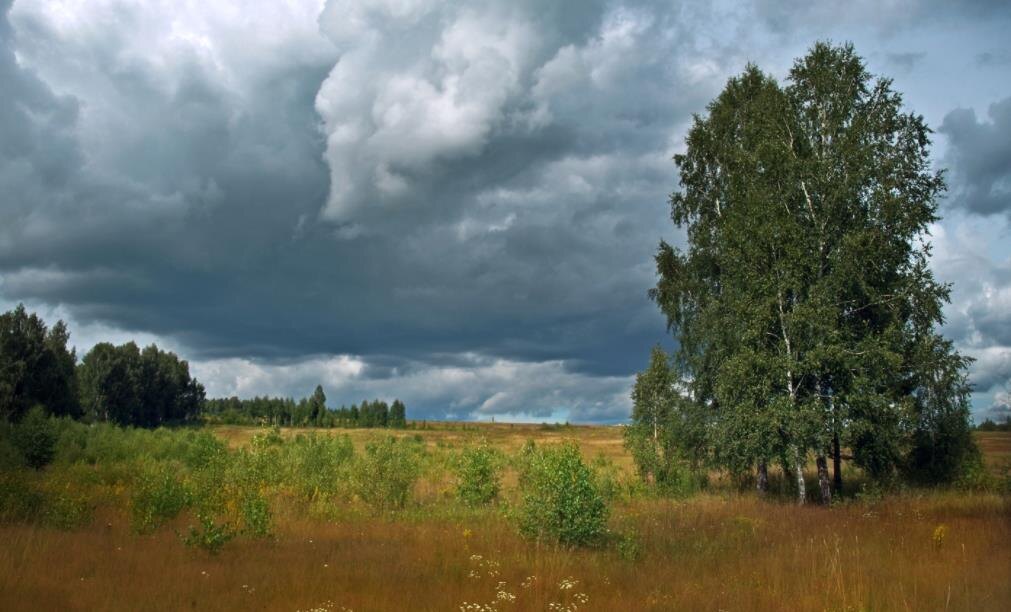 Фото — krasniykut.ru