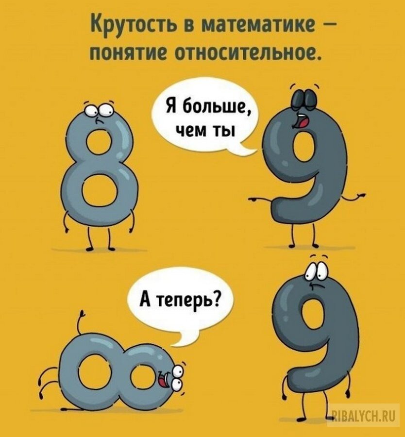 Михаил Мишустин рассказал два анекдота про математиков и физиков – Учительская газета