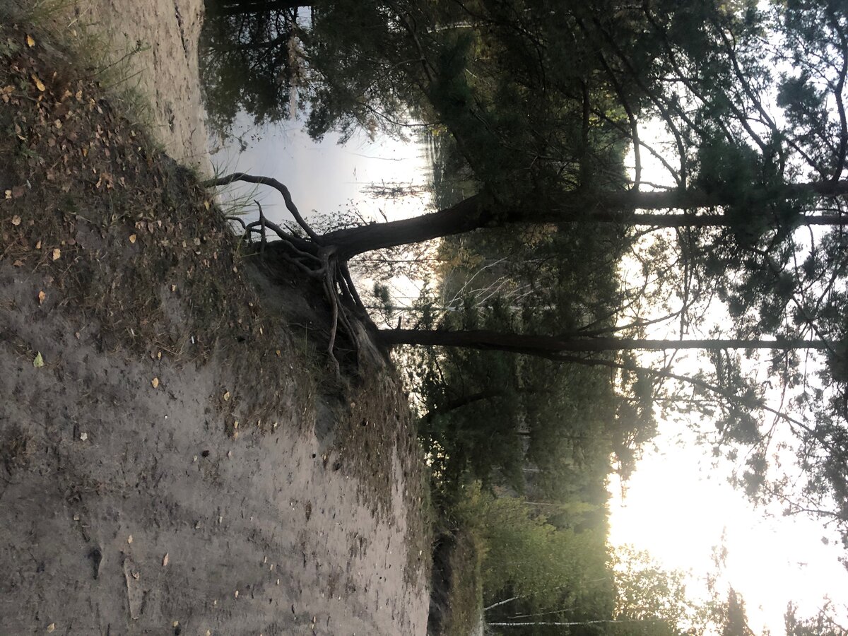 Природа берет своё 