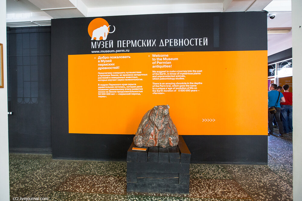 пермь музей древности динозавры. мамонт в пермском краеведческом музее. музей динозавров в перми. ул сибирская 15 музей пермских древностей. пермский краеведческий музей пермь.