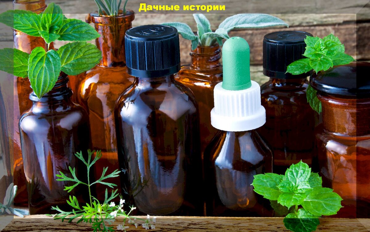 https://vk.com/photo-159774511_457244434