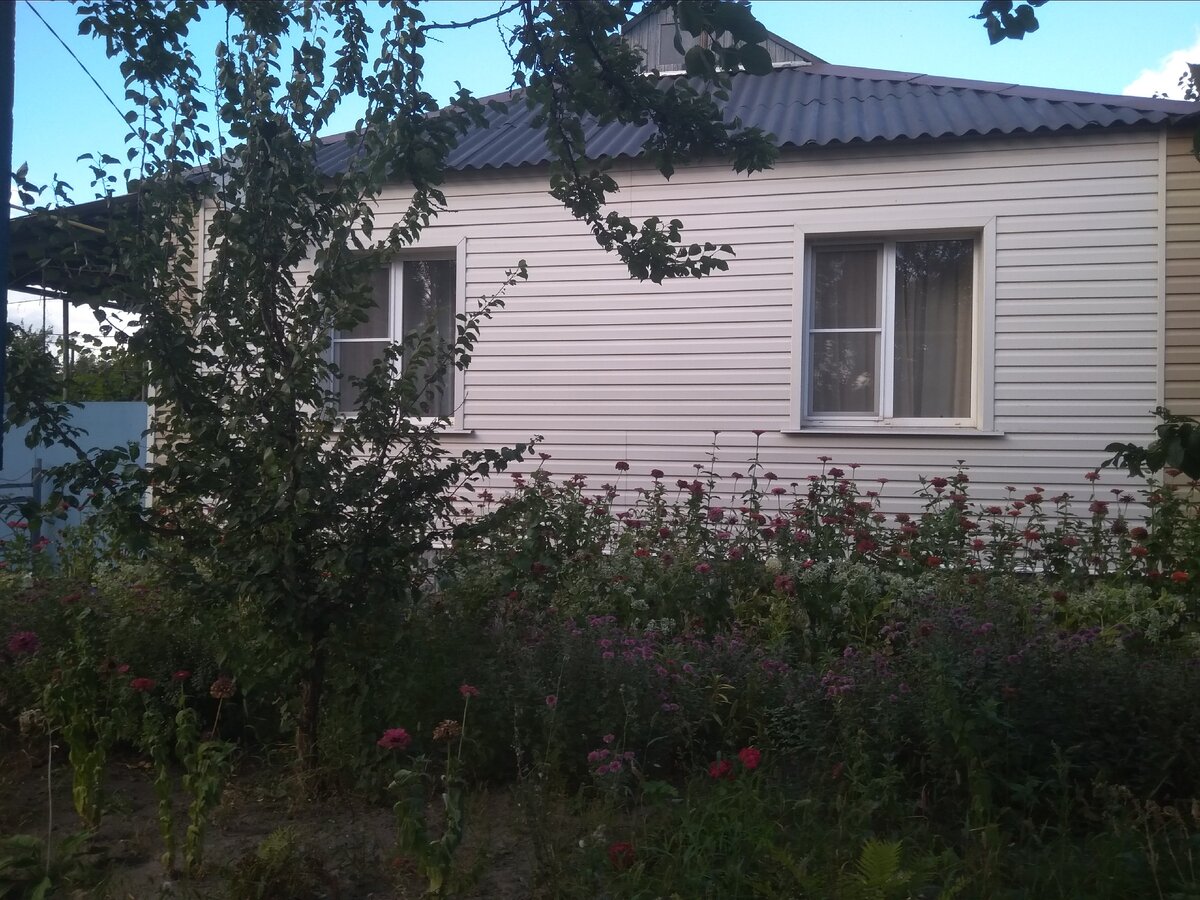 наш дом (личное фото)