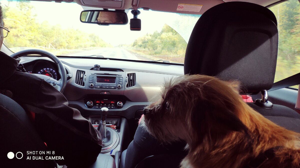 песни пел и сон приснившийся рассказал