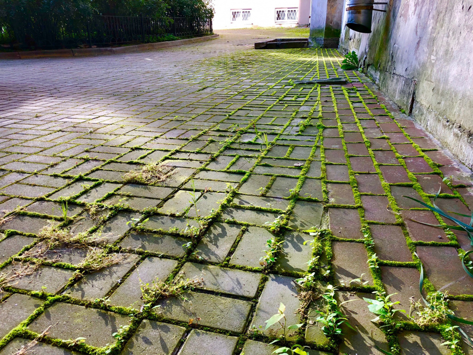 Яндекс.Картинки