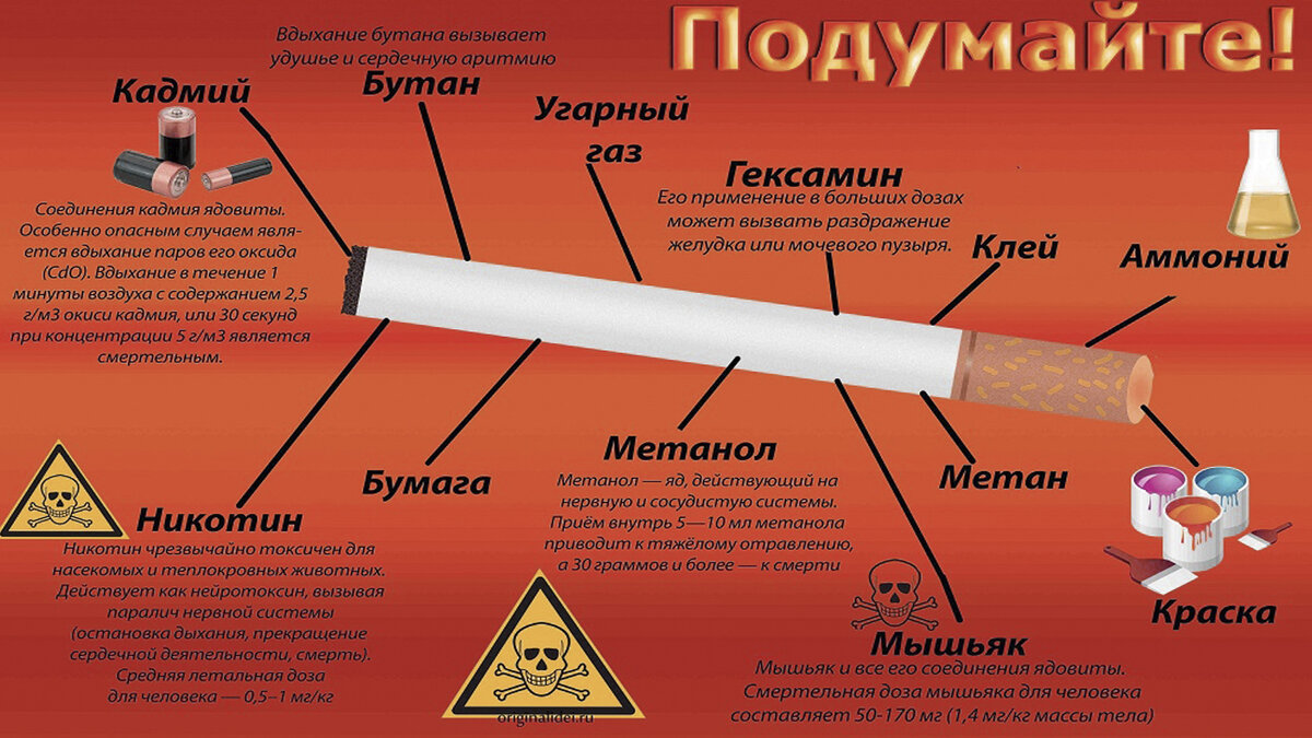 «Болезни происходят из образа жизни, частью от воздуха, который мы вводим в себя и в котором мы живем» Гиппократ