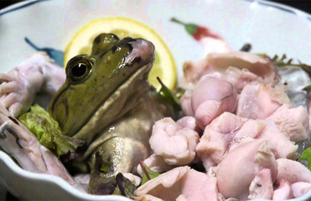 Лягушки