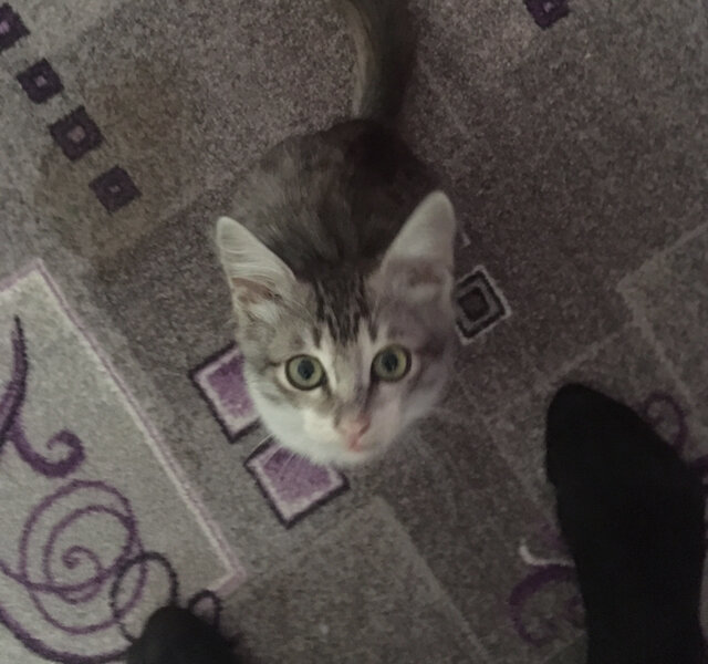 Такой малыш.