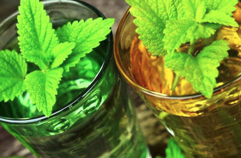 Лофант тибетский чай. Боярышника настойка растение. Облепиховый ликер. Tincture. Экстракт мелиссы.