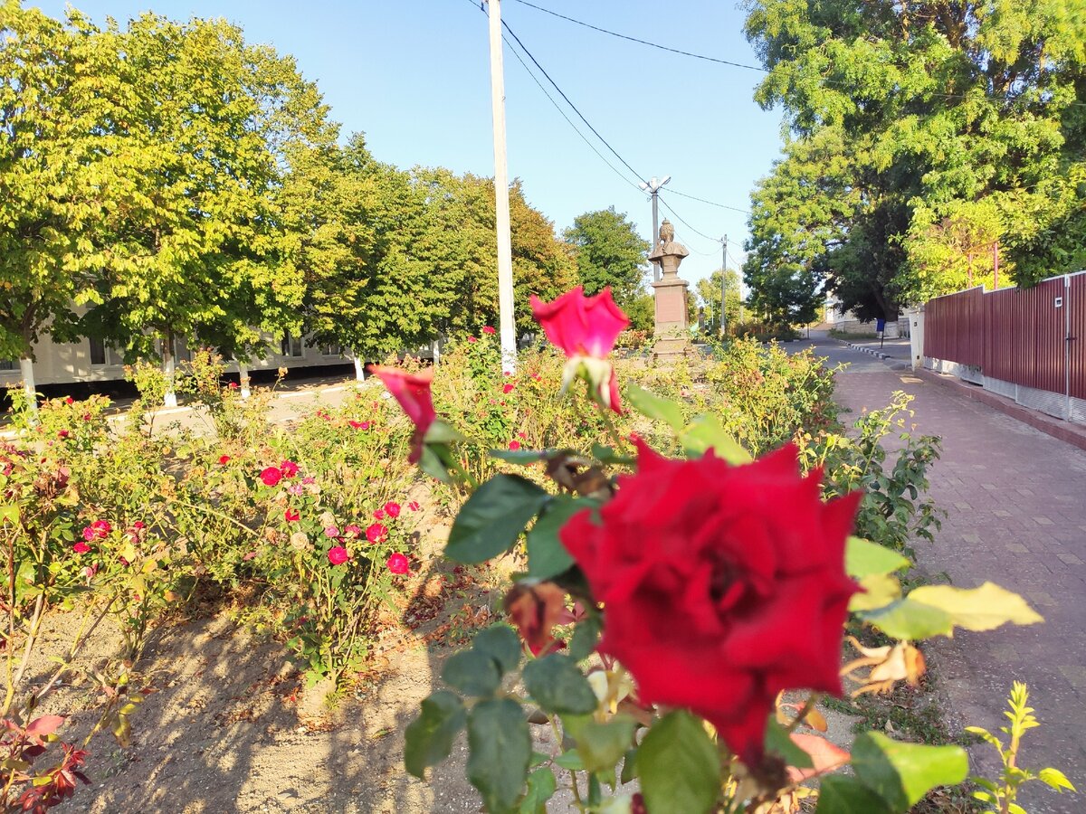 Если пойдете к цветника, захватите еду котятам. Их много у администрации. Гостям они всегда рады.