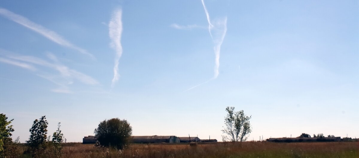 Жить на природе, вдали от суеты - что может быть лучше?