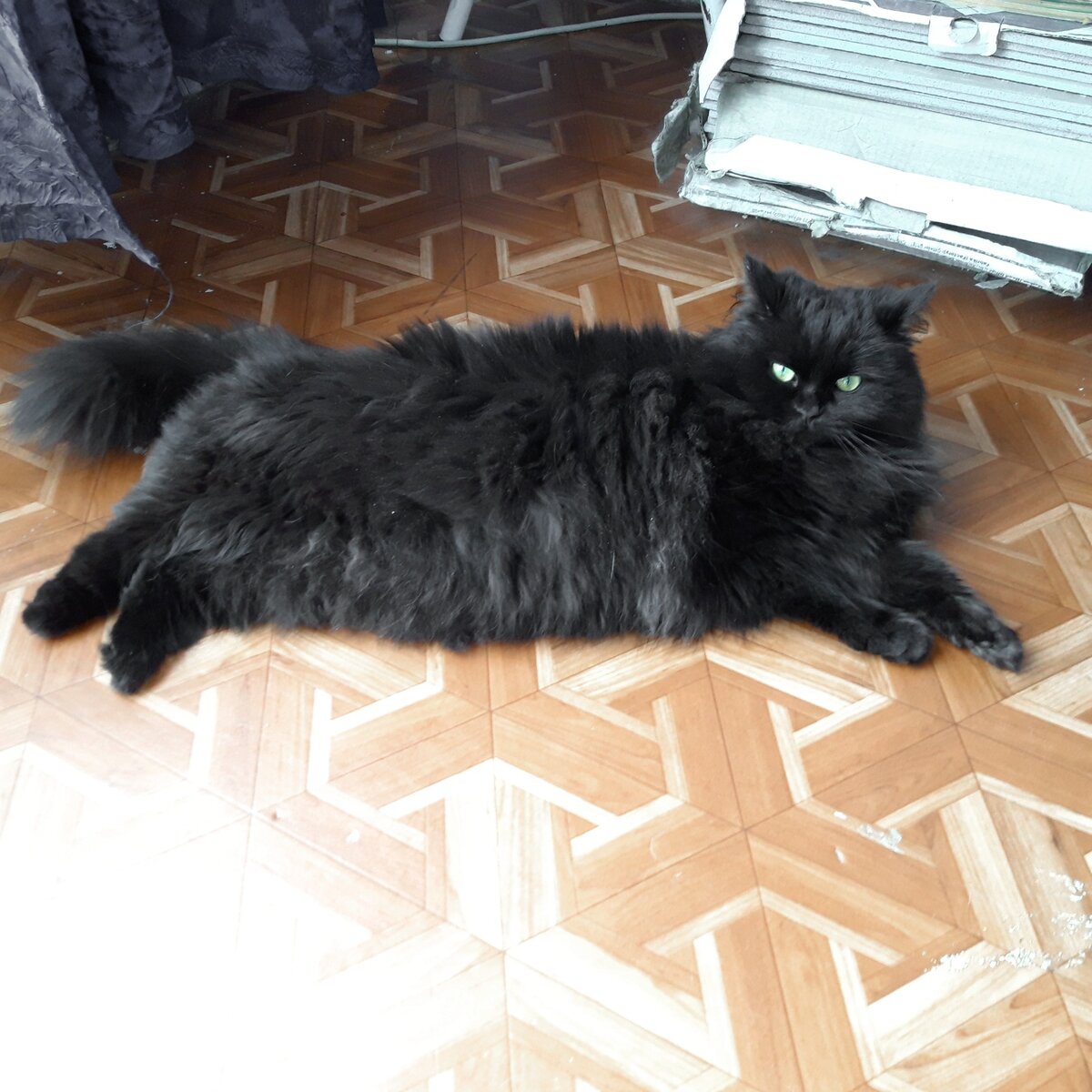 "Я - царица, а ты простой холоп"