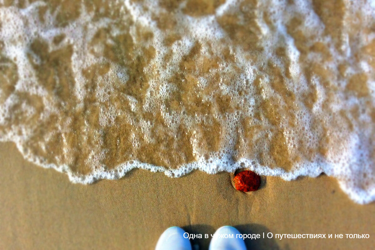 В общем, по поводу внешнего вида я с тех пор больше не парюсь😉