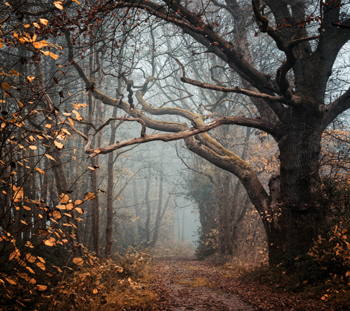 pinterest.ru