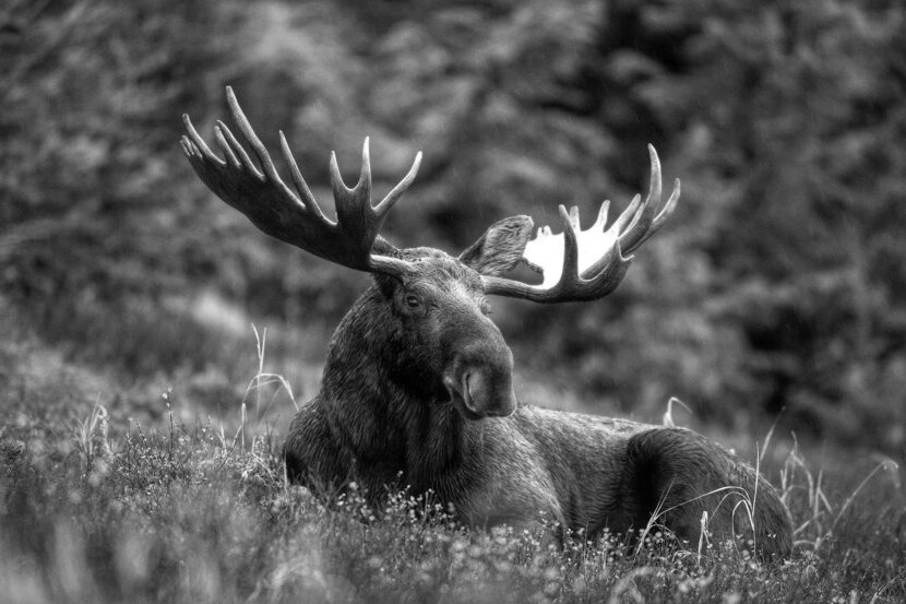 Из открытых источников. Отец нашего героя 