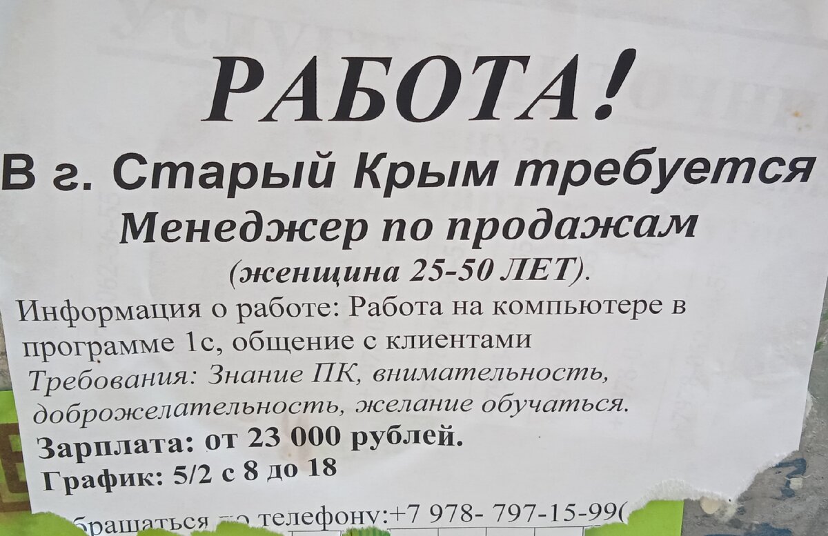 Безработица в Старом Крыму? Нет не слышали.... | Мой Крым - моя планета |  Дзен