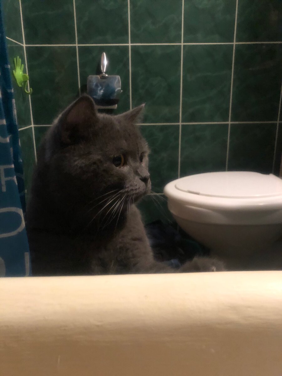 Любопытный взгляд Оскара