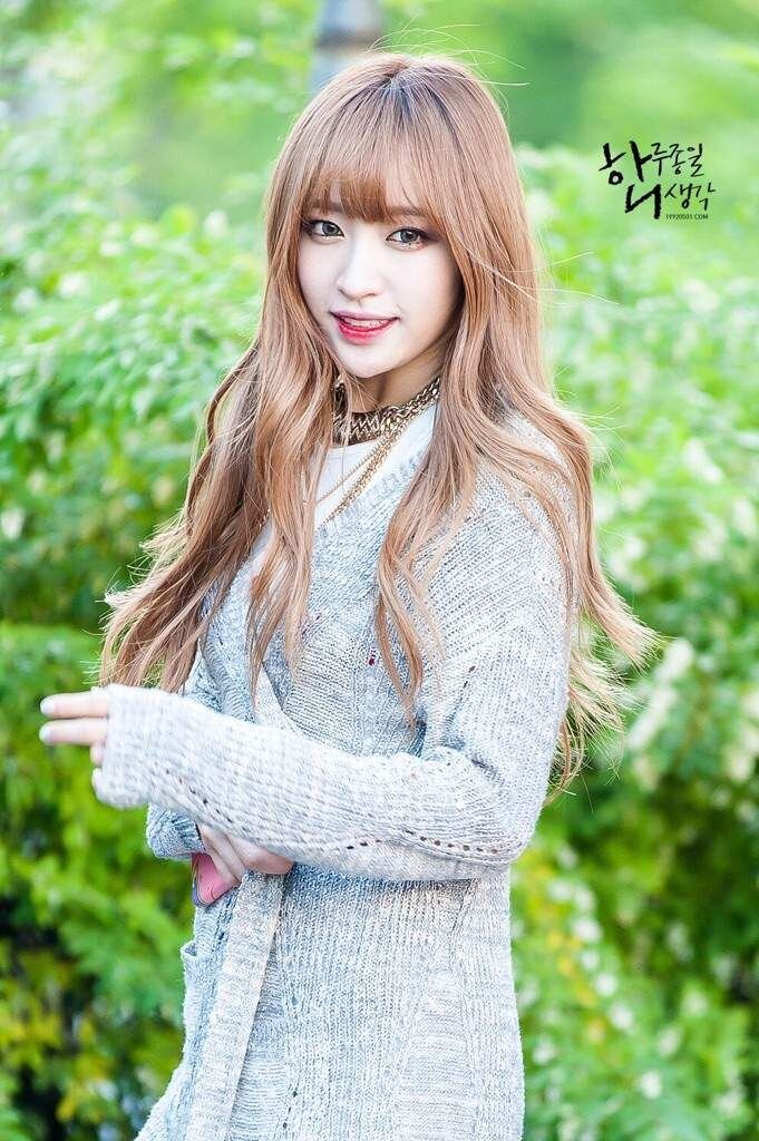 Яндекс картинки 