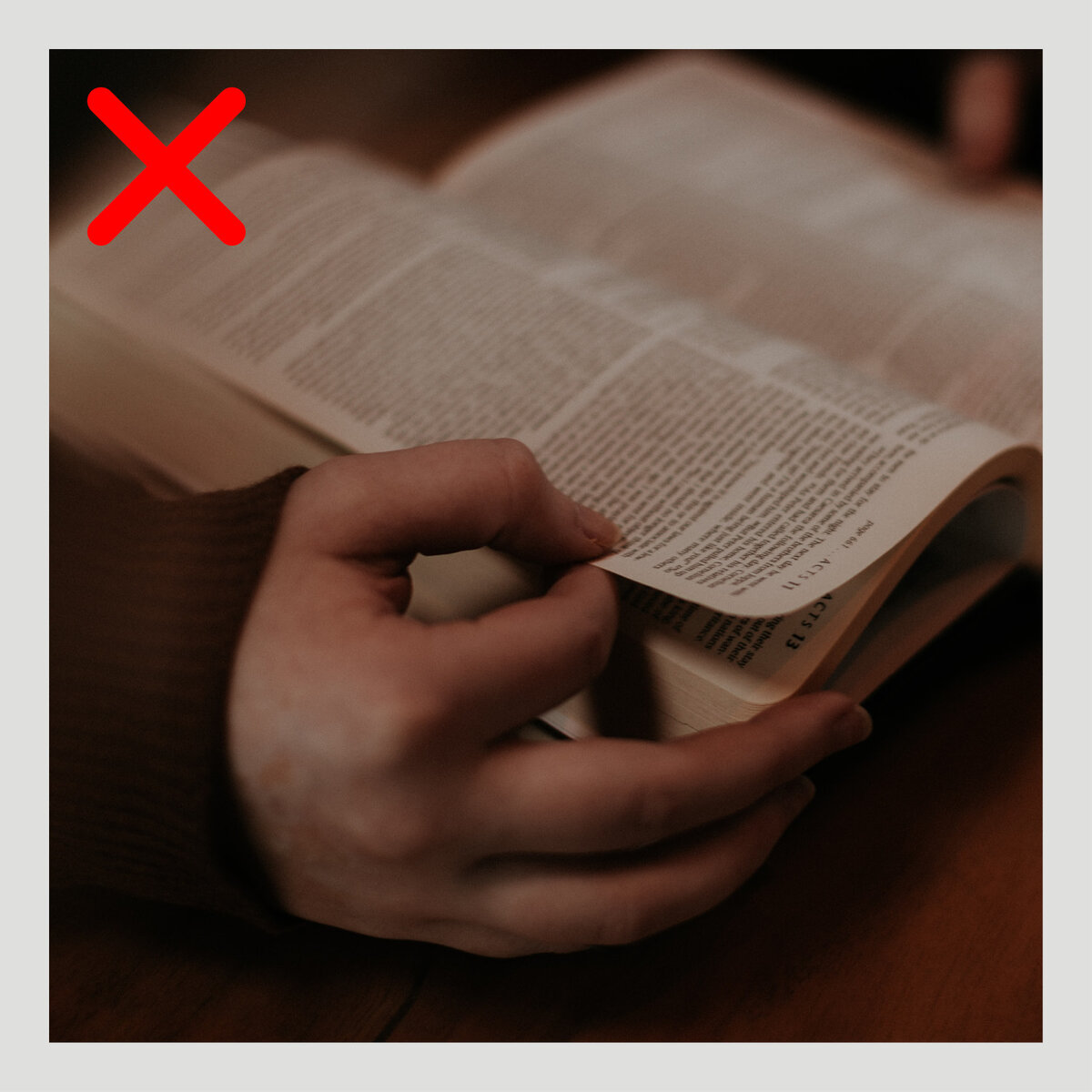 Источник: Priscilla Du Preez