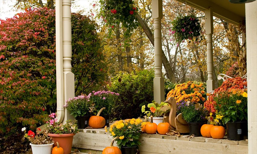 4 способа украсить осенний сад, если все отцвело и опало