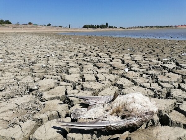 Фото: «Юг Times»