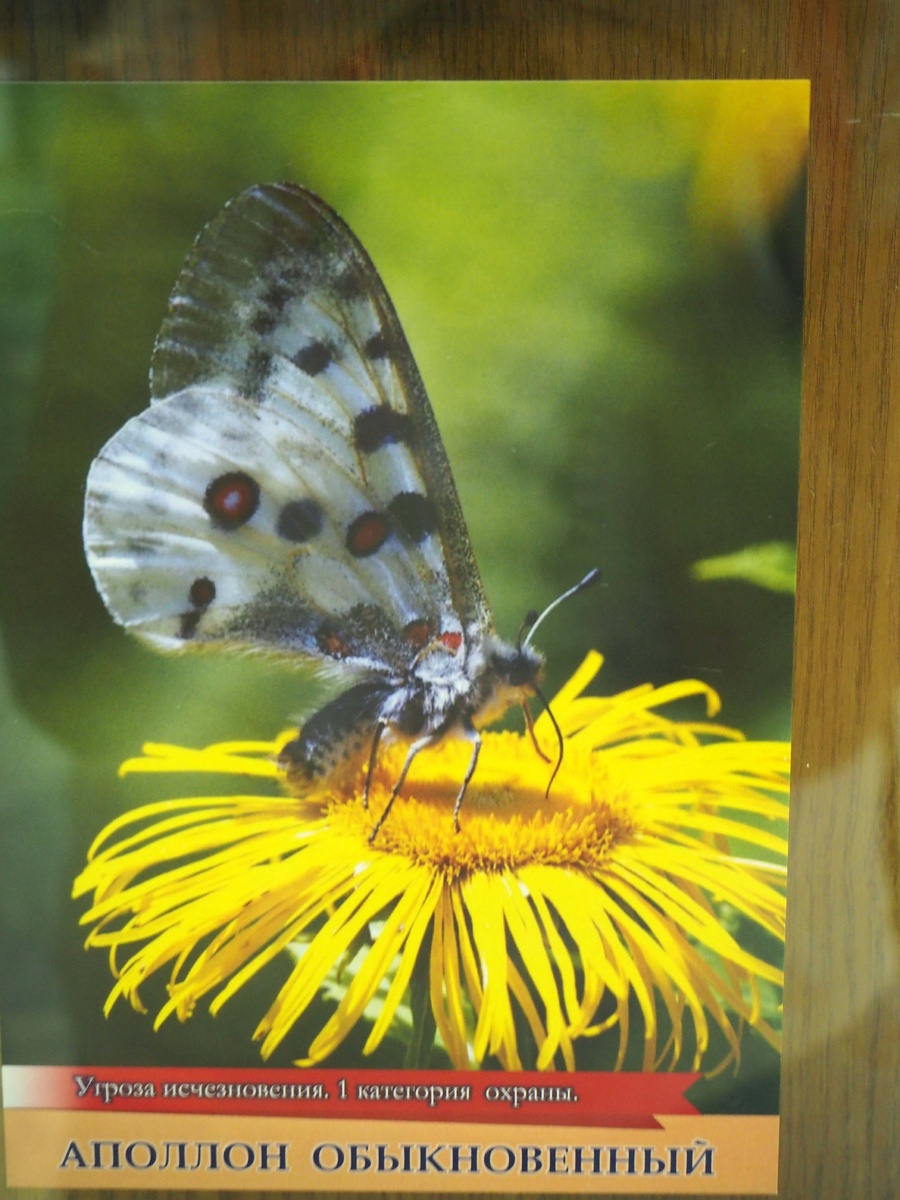 Фотография автора 2020